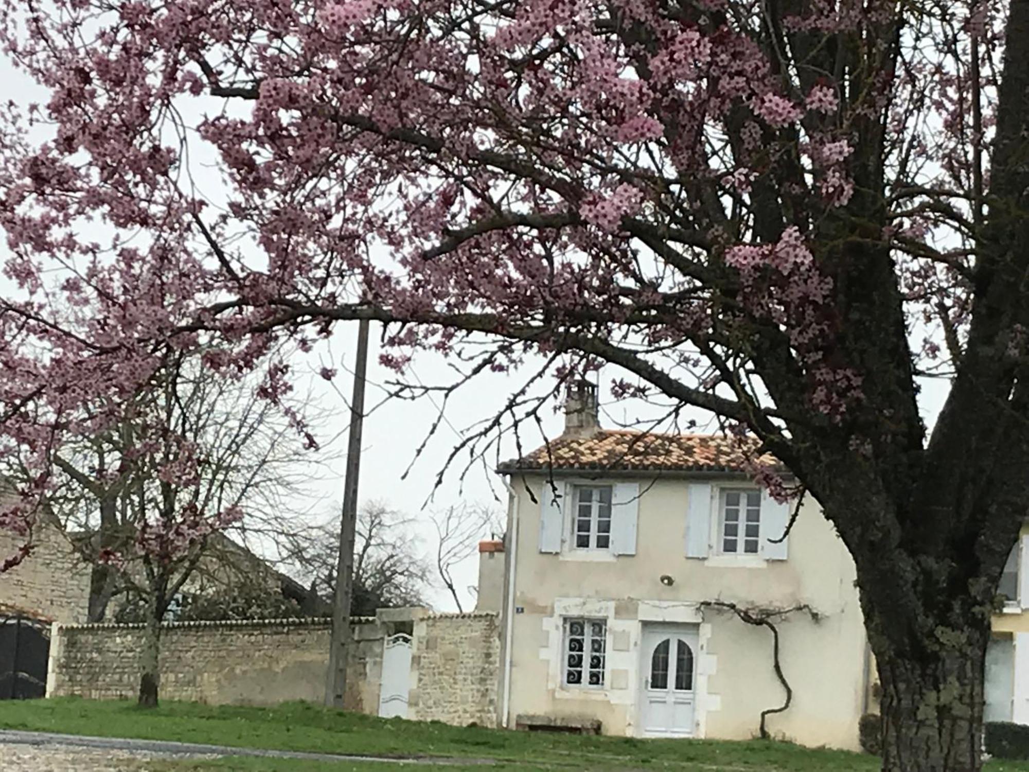 La Maison De Josephine Montignac-Charente Екстериор снимка